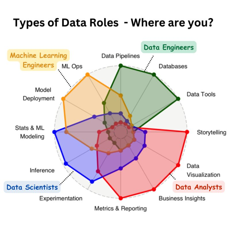 Data scientist roles
