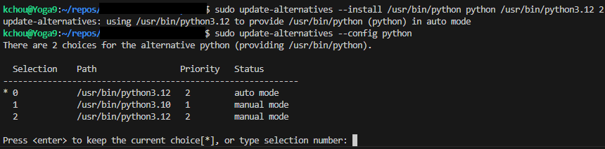 Choose python version